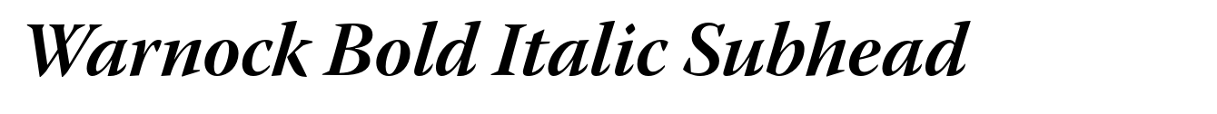 Warnock Bold Italic Subhead image